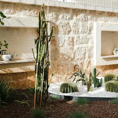 Luvi - Adults Only 2*