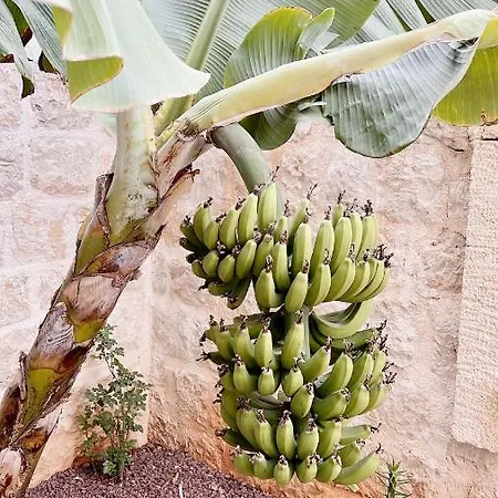 Luvi - Adults Only Hotel