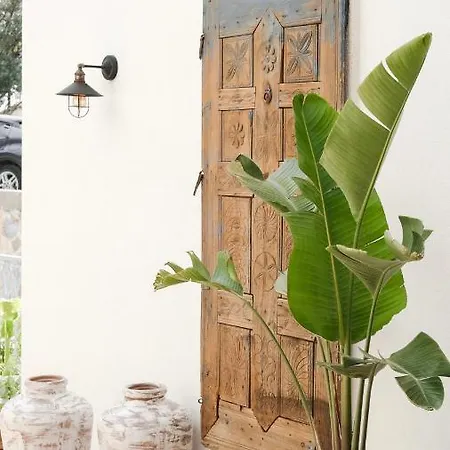 Luvi - Adults Only 2*