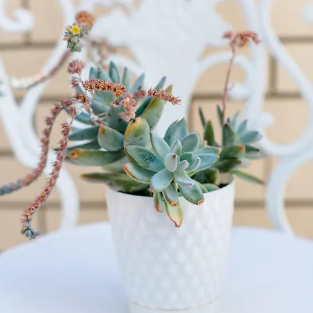 Luvi - Adults Only Kaş