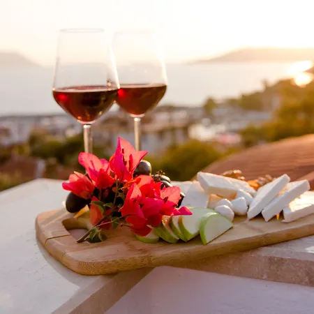 Luvi - Adults Only 2*