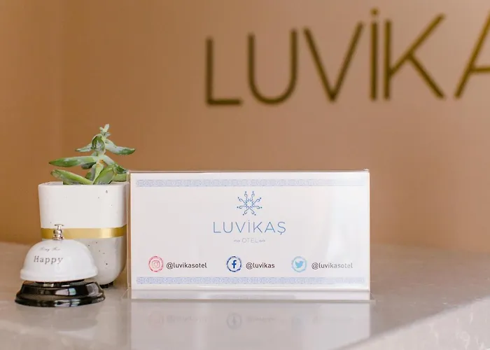 Luvi - Adults Only 2*